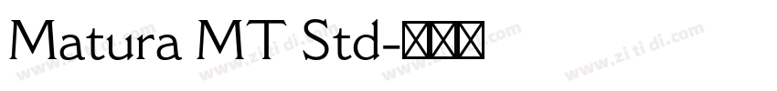 Matura MT Std字体转换